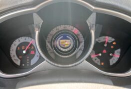 2010 CADILLAC SRX LUXURY